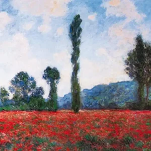 Produit De Marque Kunstdruk Claude Monet - Campo di papaveri 100x70cm