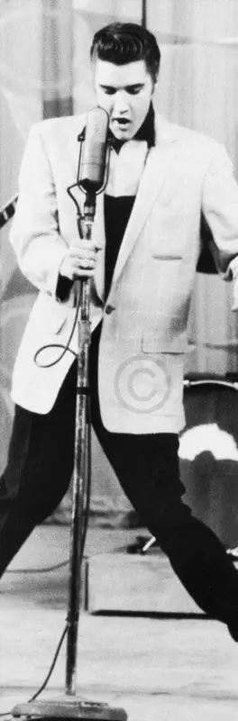 Top Vente Kunstdruk Edward Lunch - The King Klein 30x91cm