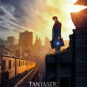 Nouveauté Poster Fantastic Beasts - One Sheet 2 61x91,5cm