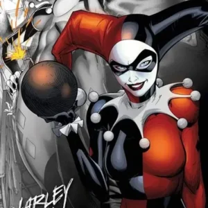 Pas Cher Poster DC Comics - Quinn The Bomb 61x91,5cm