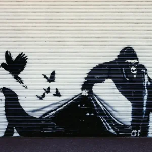 Expédition Rapide Kunstdruk Banksy - Gorilla London Zoo 70x50cm