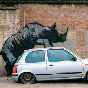 Top Vente Kunstdruk Banksy - Nashorn 70x50cm